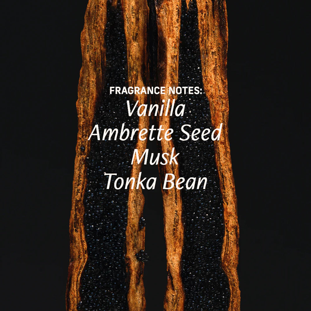 Vanilla Verve Essentials Set